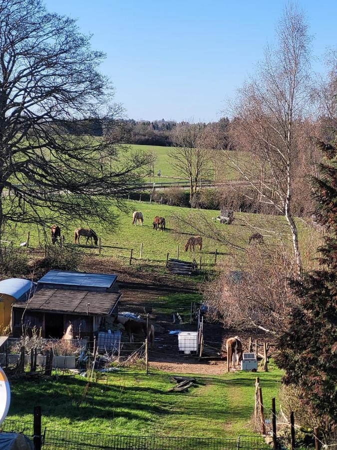 Ferienwohnung Classen Eifel Schleiden Bagian luar foto
